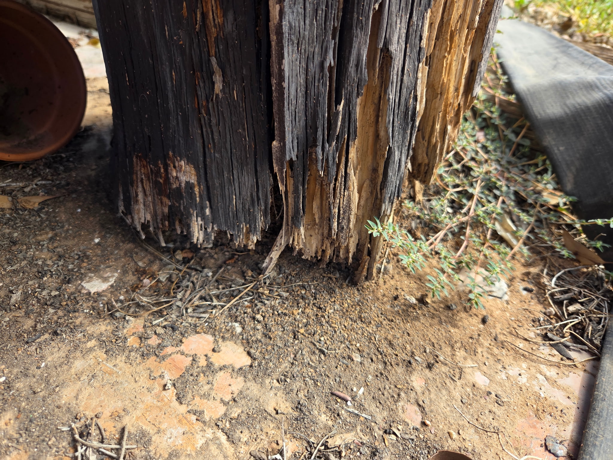 Before replacement: close-up of extensive deterioration at the base of the wood post